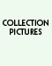 Monopoly & Game Collection Pictures