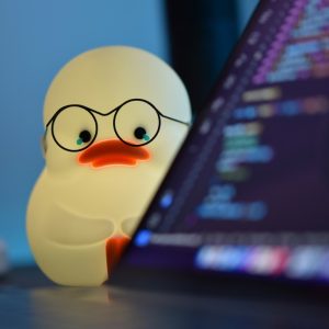 sadaf-amininia-cK_Iaef85PY-unsplash sadaf-amininia-cK_Iaef85PY-unsplash