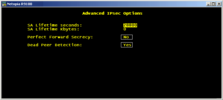 [Advanced IPSec Options