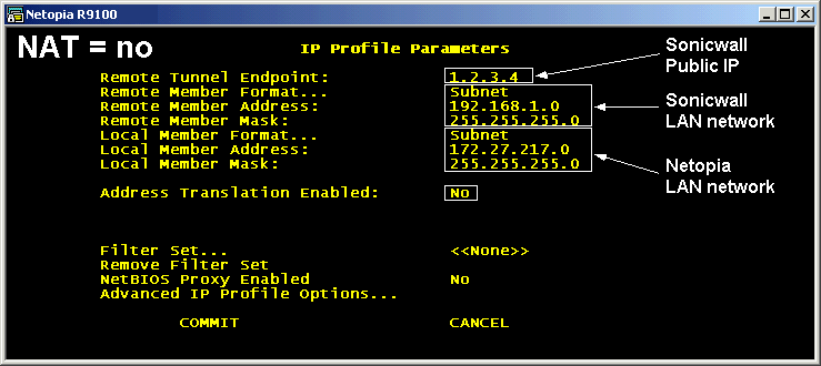 [IP Profile Parameters - NAT